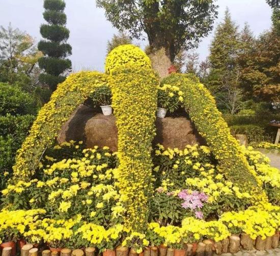 遂宁精品菊花造型